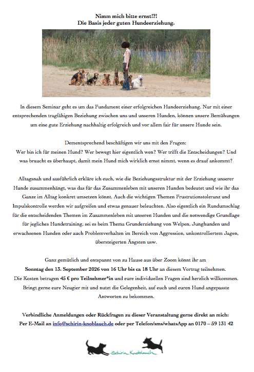 Flyer Vortrag