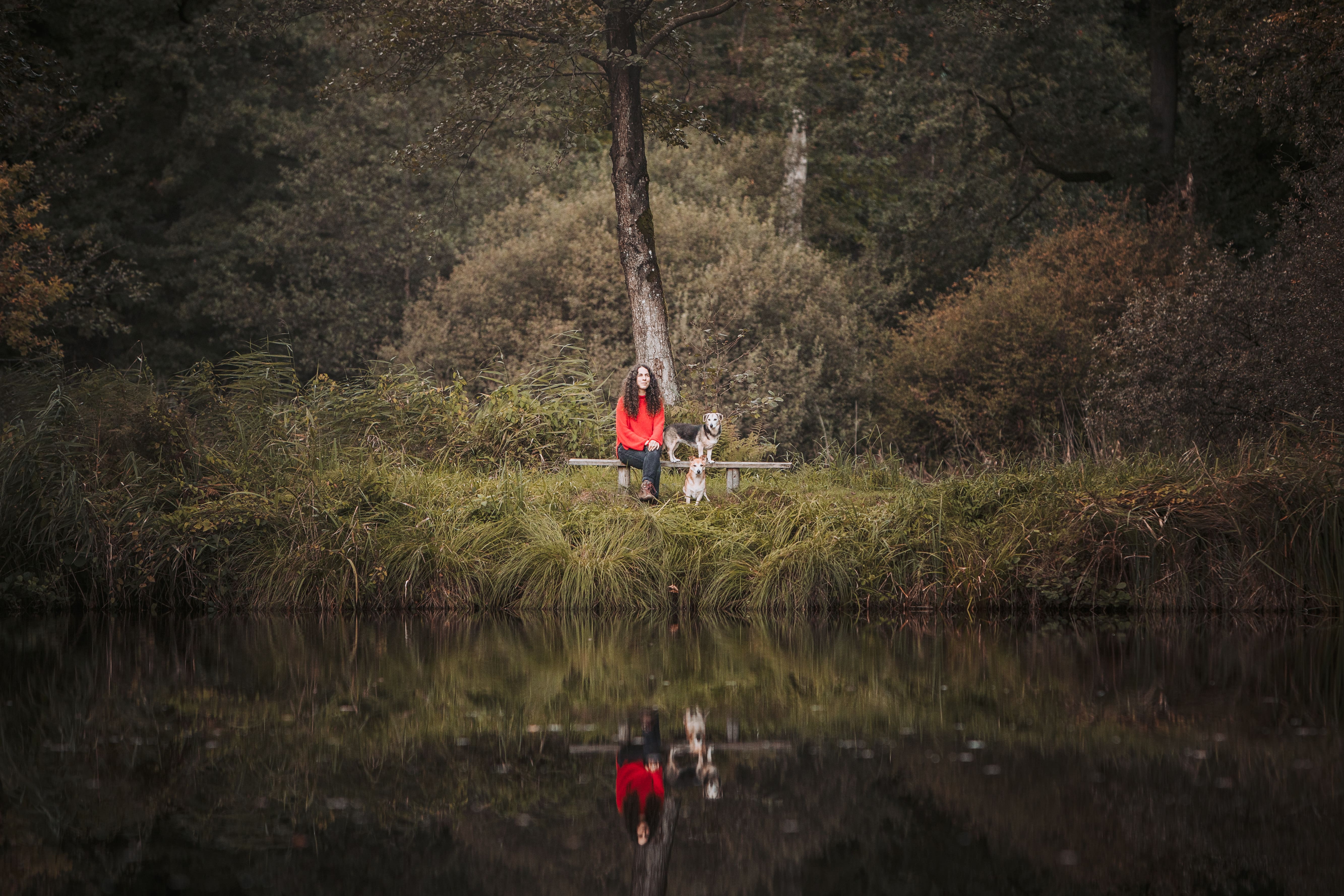 SchirinHunde auf Bank am Waldsee