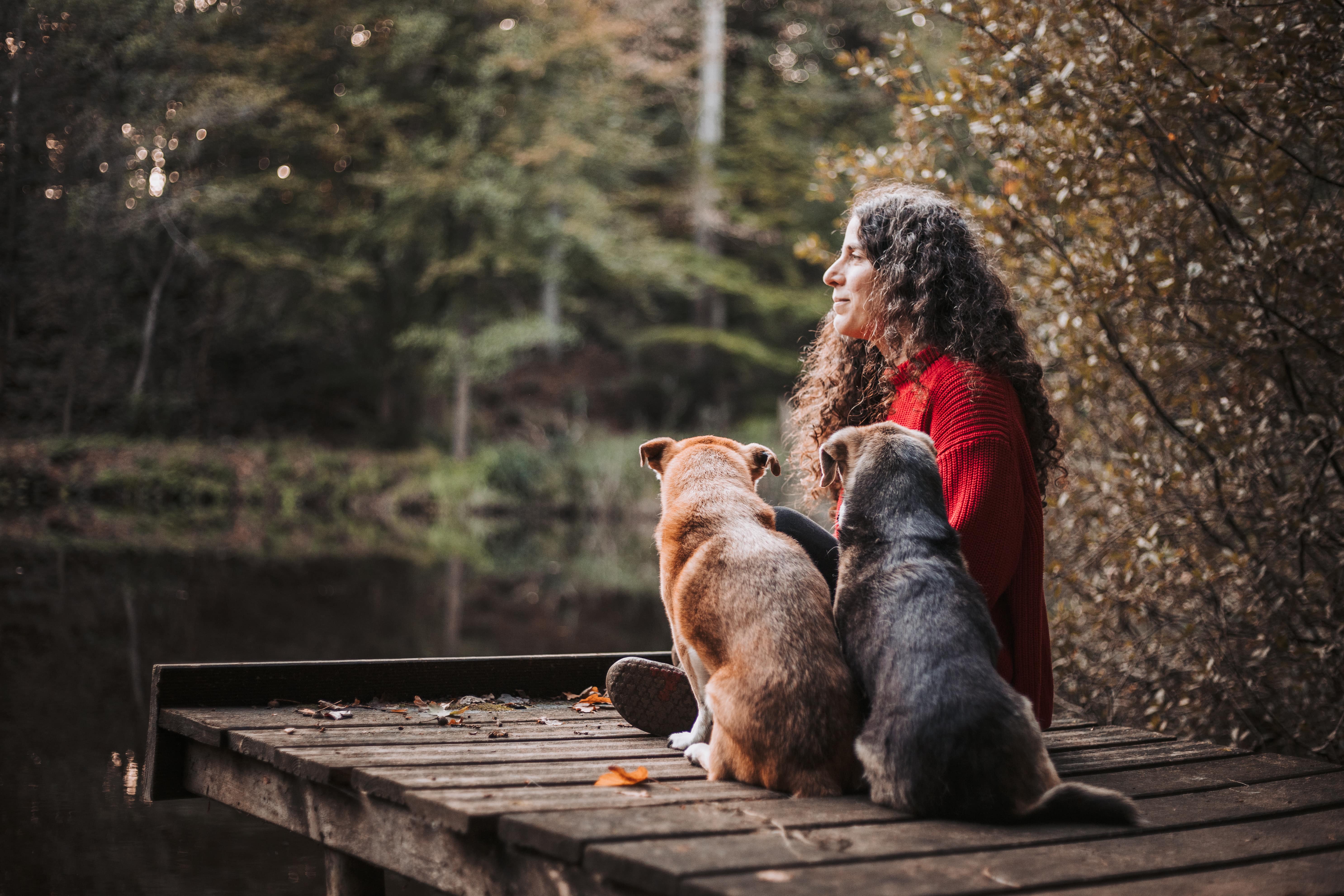 SchirinHunde auf Steg am See