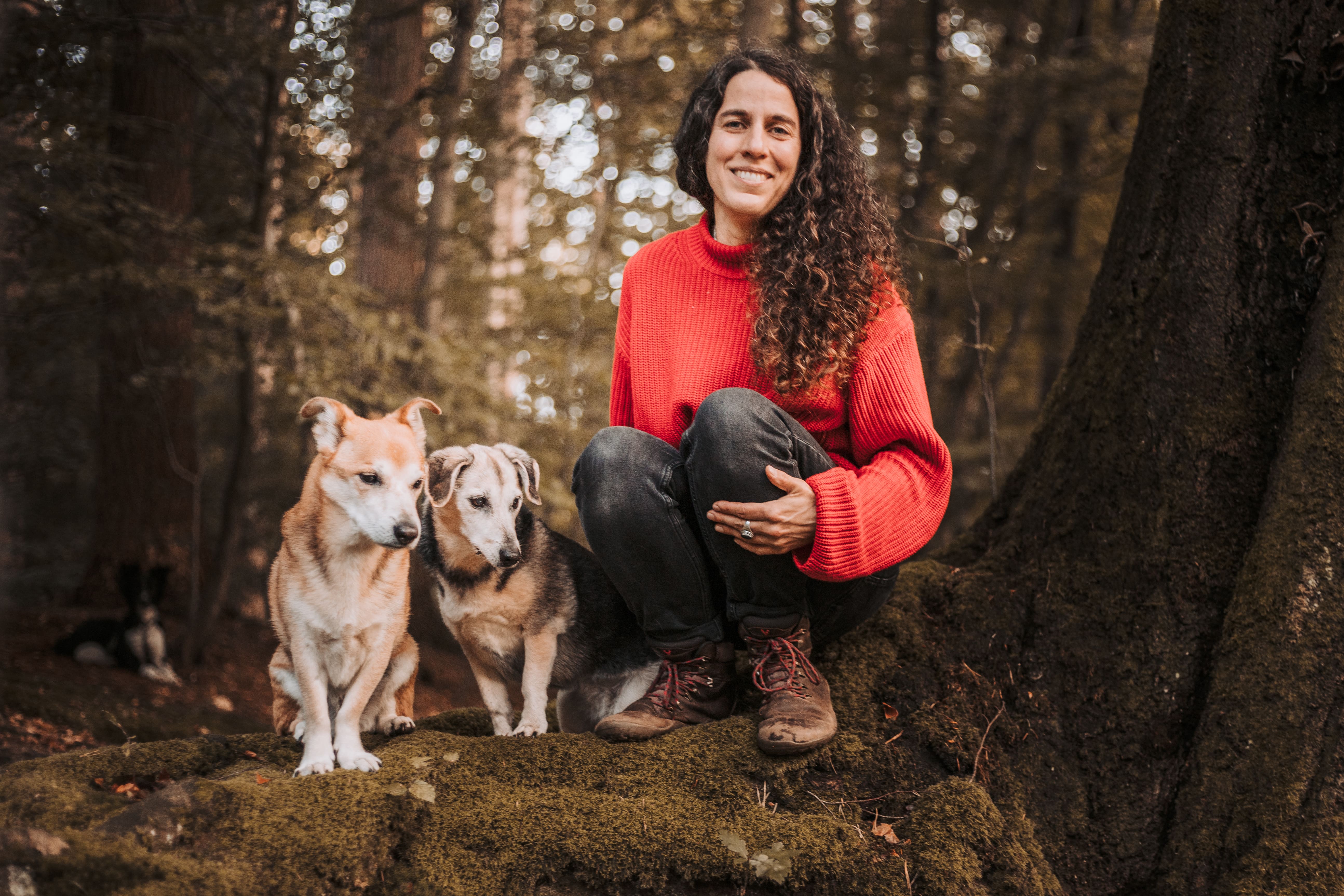 SchirinHunde imWald sitzend