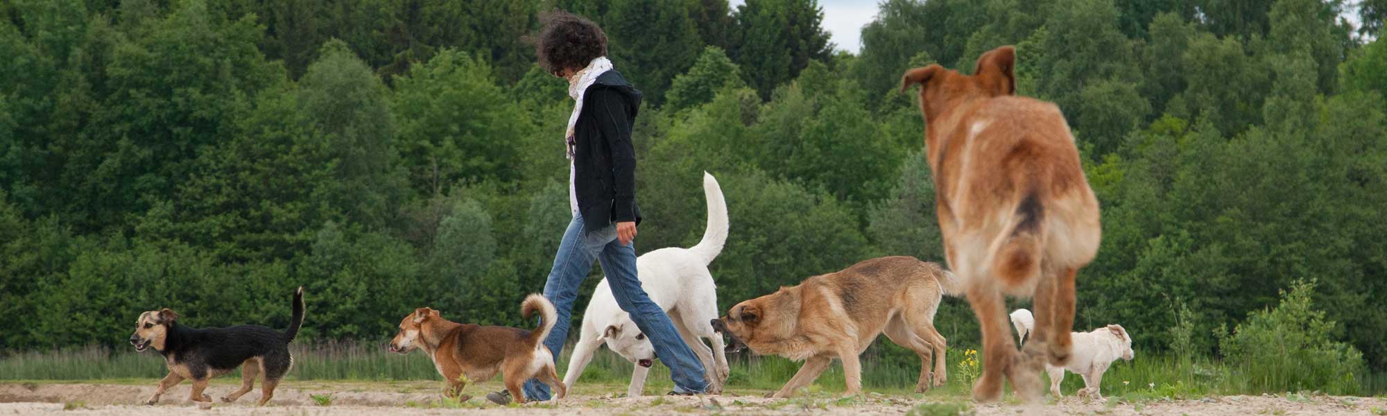 Intensiv-Training