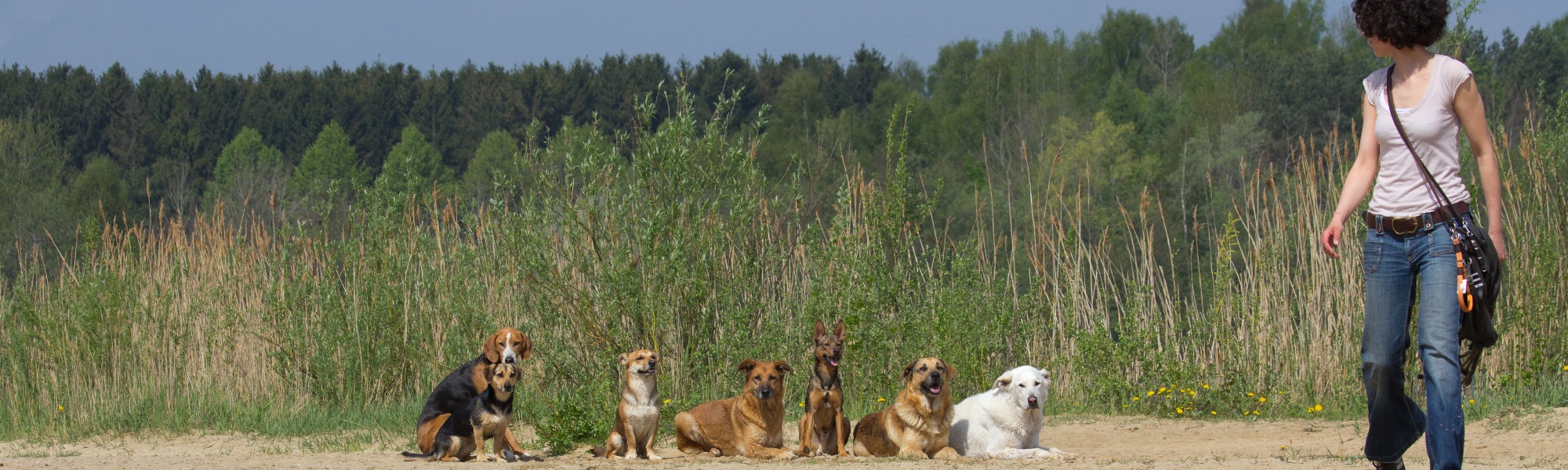 Mein Training